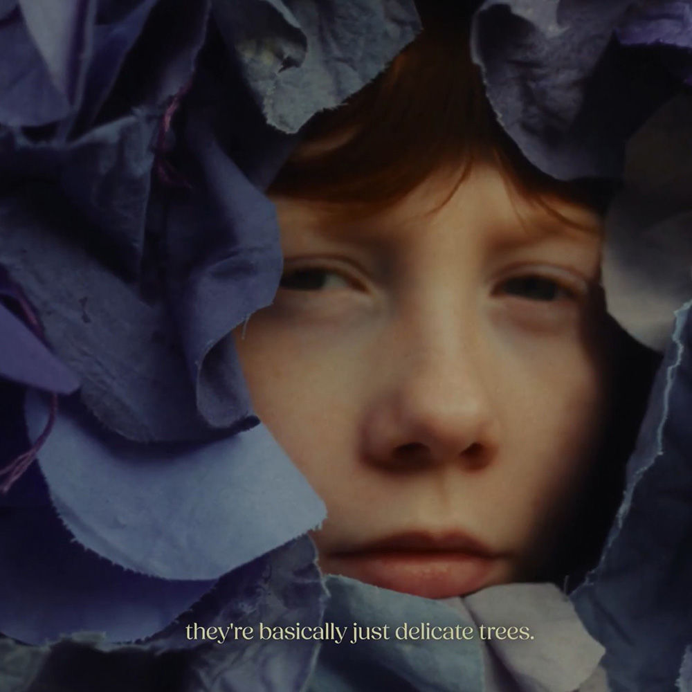 Close-up of a child's face peeking through folds of blue fabric, with the text "they're basically just delicate trees." at the bottom.