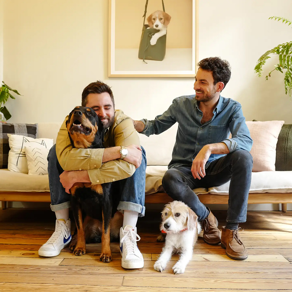 Two men sitting on a couch with a Rottweiler, a wire-haired terrier mix, and a framed photo of a puppy in a bag on the wall behind them.